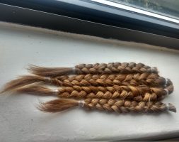 11 Inches (braided) of natural red hair