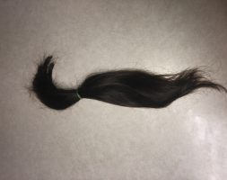 10 inches of brown virgin hair