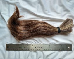 12+ inches of strong virgin brown pregnancy hair!