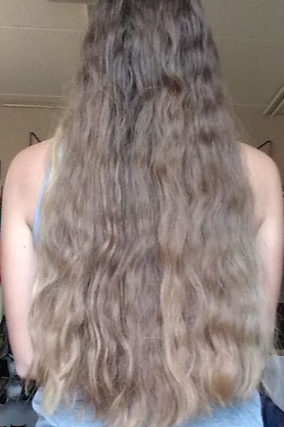 12 Inches of Virgin Blonde Hair for sale - HairSellOff